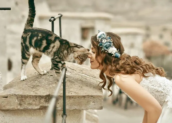 Phocas Cave Hotel 2*